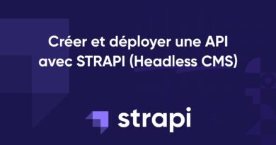 Créer rapidement et facilement une API REST avec STRAPI